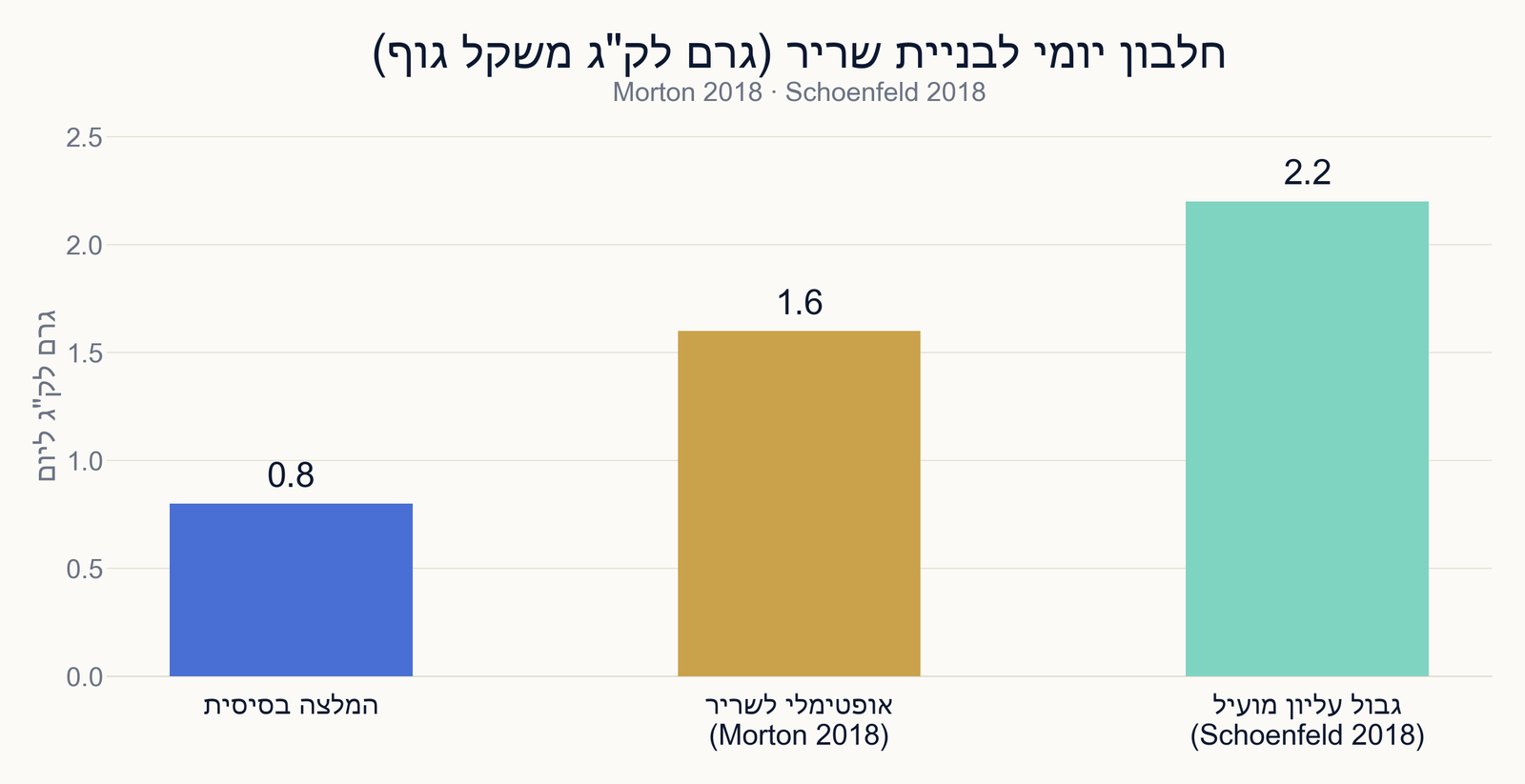 כמה חלבון זה יותר מדי? מאיזו כמות מסת השריר מפסיקה להרוויח